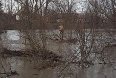 Folyóba ugrott részeg férfit menekítettek ki a tűzoltók
