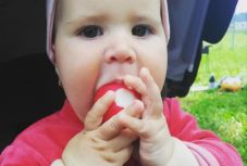 Réka kismamablogja: vegetarianizmusom története