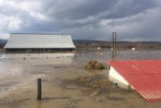 Árvíz: erdővidéki gazdáknak szerveznek takarmánygyűjtést háromszéki fiatalok