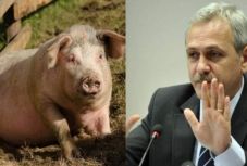  Dragnea: nem öltem malacot a SRI székházában