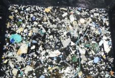 Gyorsan növekszik a csendes-óceáni műanyaghulladék mennyisége