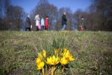 Ilyen lesz az idő Erdélyben nagypénteken és nagyszombaton