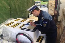 Razziázott a gazdasági rendőrség Hargita megyében