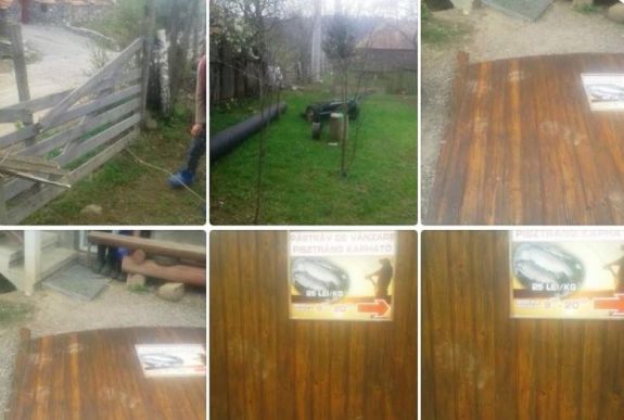 Hargita megyében történt: betörőnek hitték, de medve volt