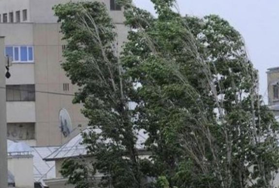 Erős széllökések várhatóak Hargita és Maros megyében