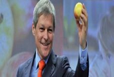 Rostás-Péter István: Rés a középen