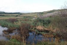 Év végéig lezárják a pataréti szeméthegyet?