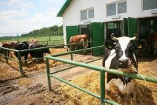 Erdélyi magyar gazdák is vannak az ország legnagyobb szövetkezeteiben