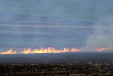Tavaszi tarlóégetések Hargita megyében: kemény összegekre büntethetnek