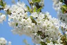 A hét elején is tart majd az átlagosnál melegebb idő