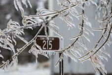 Halálos áldozatokat szedett a tavaszban érkezett téli vihar Amerikában