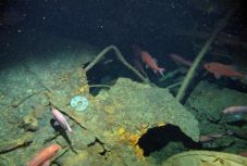 Több mint 70 év után megtalálták a ritka náci tengeralattjárót