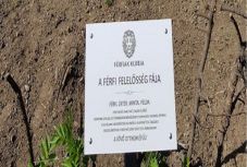 Kustán Magyari Attila: Férfias férfiak ültettek férfifát Székelyföldön