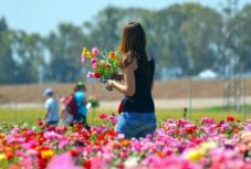 Ilyen időjárás várható a következő napokban