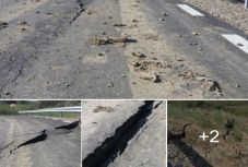 Ismét „megindult befelé” egy domboldal Hargita megyében