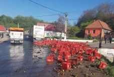 Szétszóródott a sörrakomány: a földváriak nem lopták el, segítettek összeszedni