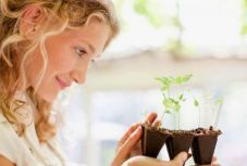 Jót tesz a növényeinknek, ha beszélünk hozzájuk?