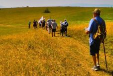 Már lehet jelentkezni a 100 kilométeres csíksomlyói búcsús zarándoklatra  