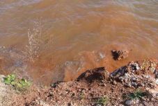 Bányavíz került a Nagy-Szamos egyik mellékágába