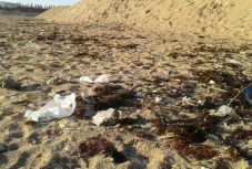 Hatalmas mennyiségű szemetet gyűjtöttek össze a román tengerpartról