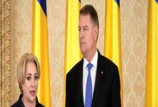 Bogdán Tibor: Halló