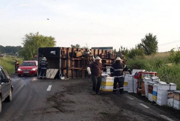 Felborult egy méhkaptárakat szállító teherautó