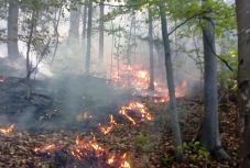 Erdőtüzek voltak a hétvégén Hargita megyében, egyes területek még lángolnak