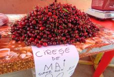 Egytizedére zuhant a cseresznye ára, de már kutyának sem kell