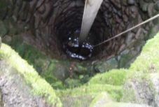 Kútba esett borjút mentettek Háromszéken