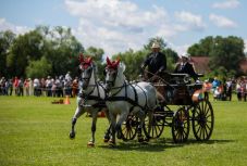 Háromszék felkerült a nemzetközi lovas fogathajtás térképére