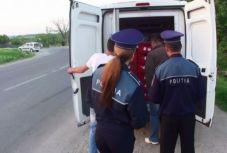 Razziázott pünkösdkor a gazdasági rendőrség Hargita megyében