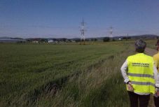 Terelőutat építenek Sepsiszentgyörgyön 