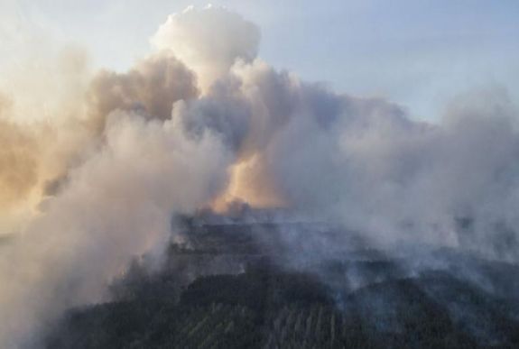 Tűz ütött ki a csernobili zónában lévő Vörös-erdőben