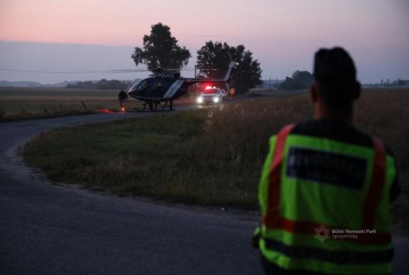 Hétfőn döntenek a befogott medvéről
