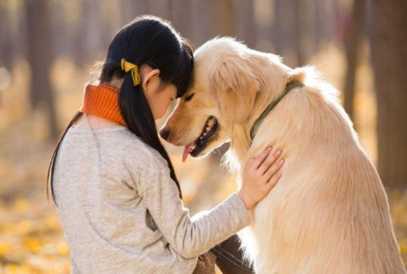 A kutyák tényleg tudják, mit érez a gazdájuk
