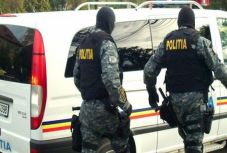 Hargita megye: a famaffiára csaptak le a rendőrök, és egy Picasso-festmény került elő