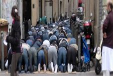 Bíró Béla: Reflexiók újkeletűekről és őshonosokról