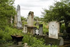 Borzalmas dolgok történtek egy 14 éves lánnyal az érmihályfalvi zsidó temetőben