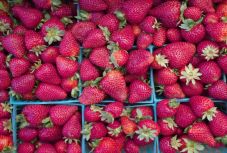 Egy alapanyag, három recept: az eper