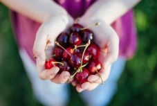 Erdélyi cseresznyekultusz: június utolsó vasárnapján ünnepelnek a décseiek