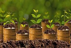 Románia is kiállt az uniós agrártámogatások szintjének fenntartása mellett