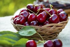 Cseresznyefesztivált tartottak Magyardécsében