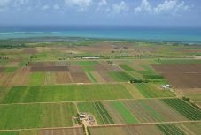 Megszavazták: érvényesíteni lehet a a mezőgazdasági zsebszerződéseket