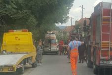  Kidőlt fa sebesített meg két felnőttet és két kiskorút