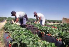 Így kerülje el a kamu munkaközvetítőket, ha külföldön szeretne munkát vállalni