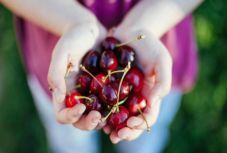 Négy módszer cseresznye- és meggymagozásra