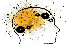 Magyari Nándor László plágium-ügye: állást foglalt a BBTE szociológiai intézete