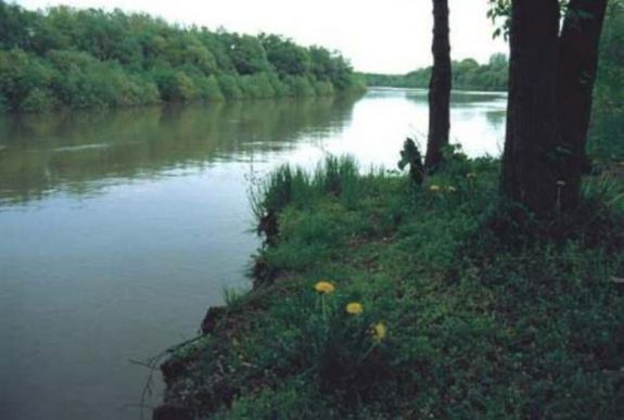 Magyar-román árvízvédelmi projekt indult a Maros határvízi szakaszán