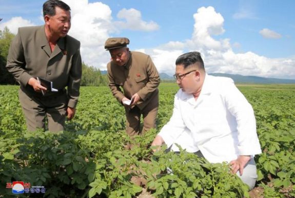 Krumplifarmra váltotta az amerikai külügyminisztert Kim Dzsongun