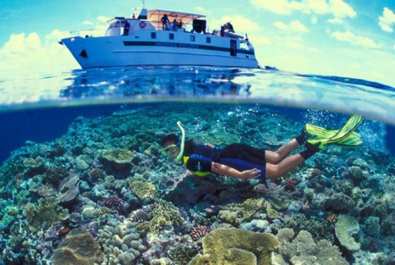 Így mentik meg az egyik legcsodálatosabb természeti örökségünket